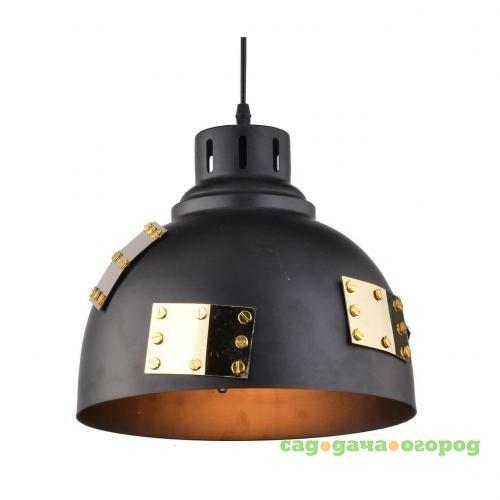 Фото Подвесной светильник Arte Lamp Eurica A6024SP-1BK