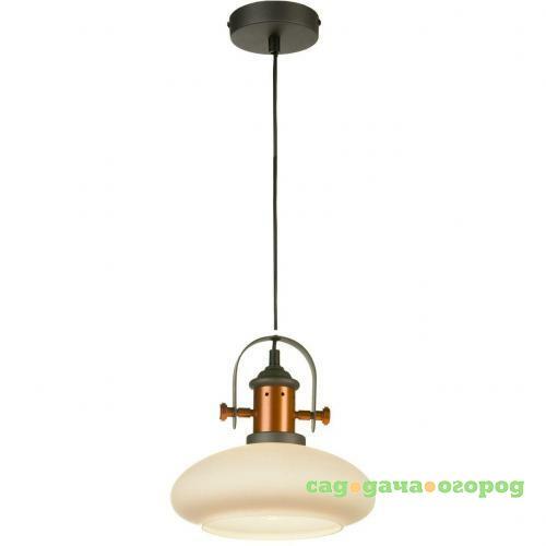 Фото Подвесной светильник Lussole Loft LSP-9845