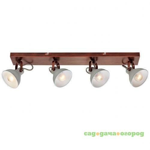 Фото Спот Lussole Loft Diana LSP-9829