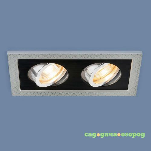 Фото Встраиваемый светильник Elektrostandard 1041/2 MR16 SL/BK серебро/черный 4690389095443