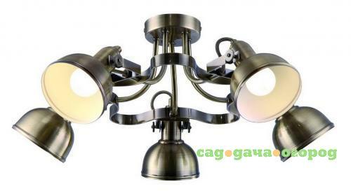 Фото Потолочная люстра Arte Lamp Martin A5216PL-5AB