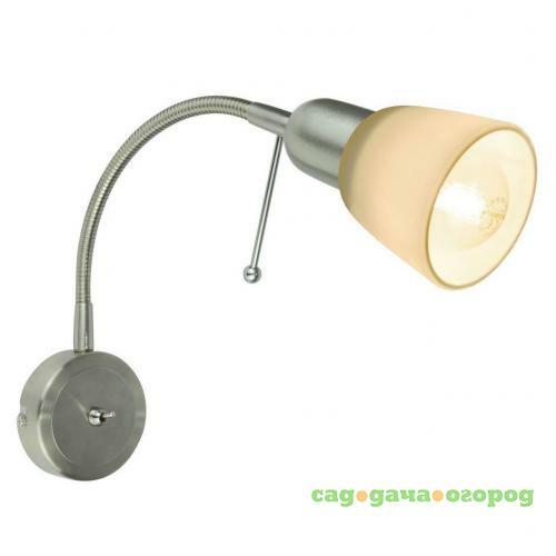 Фото Спот Arte Lamp Lettura A7009AP-1SS