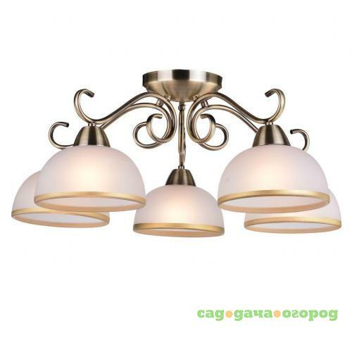 Фото Потолочная люстра Arte Lamp Beatrice A1221PL-5AB