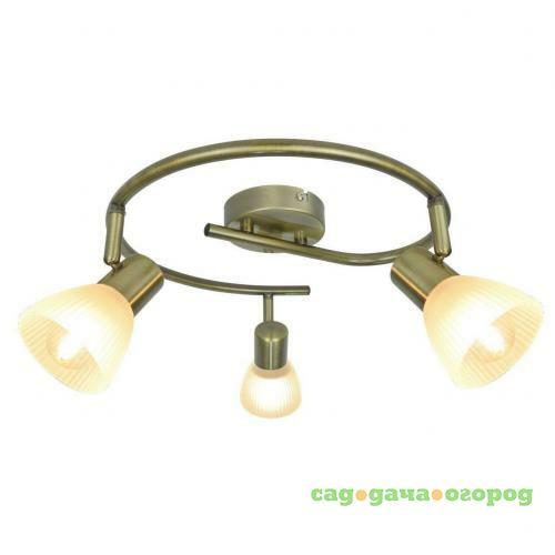 Фото Спот Arte Lamp Parry A5062PL-3AB