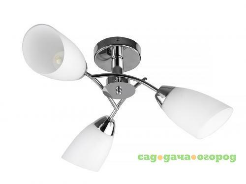 Фото Потолочная люстра Toplight Carmel TL3600X-03CH