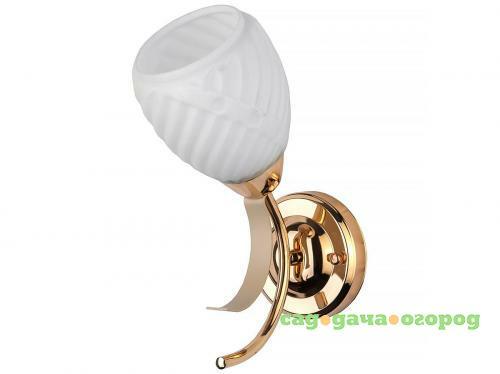 Фото Бра Toplight Lenore TL3530B-01FG