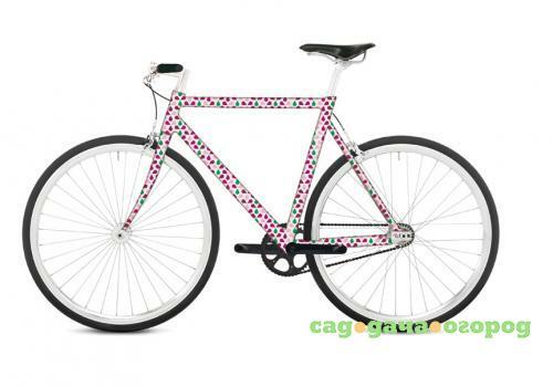 Фото Наклейка на раму велосипеда REMEMBER, Blossom, 300*18 см