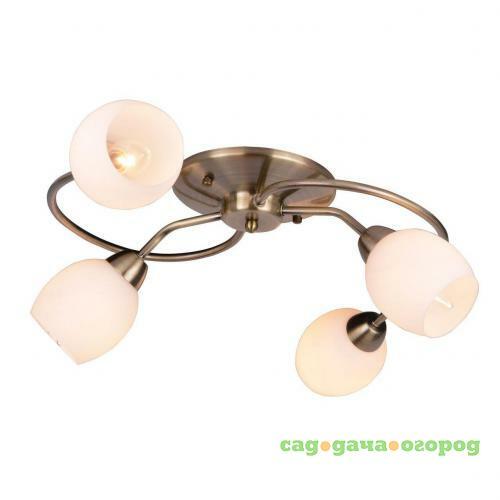 Фото Потолочная люстра Arte Lamp Silvana A4033PL-4AB