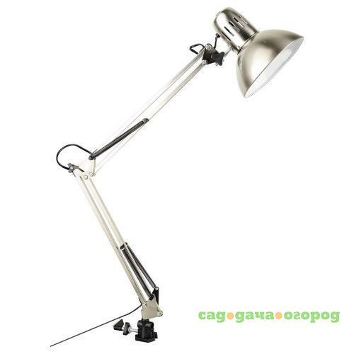 Фото Настольная лампа Arte Lamp Senior A6068LT-1SS