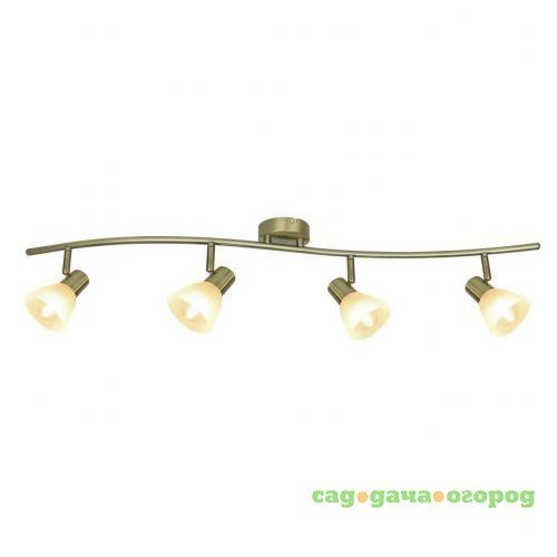 Фото Спот Arte Lamp Parry A5062PL-4AB