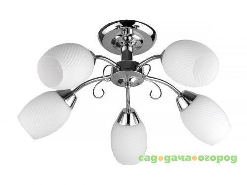 Фото Потолочная люстра Toplight Malvina TL3500X-05CH