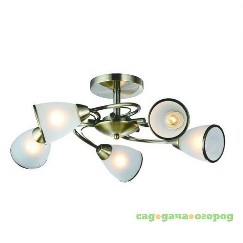 Фото Потолочная люстра Arte Lamp 3 A6056PL-5AB