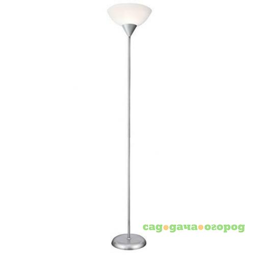 Фото Торшер Arte Lamp Duetto A9569PN-1SI