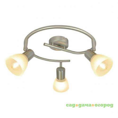 Фото Спот Arte Lamp Parry A5062PL-3SS