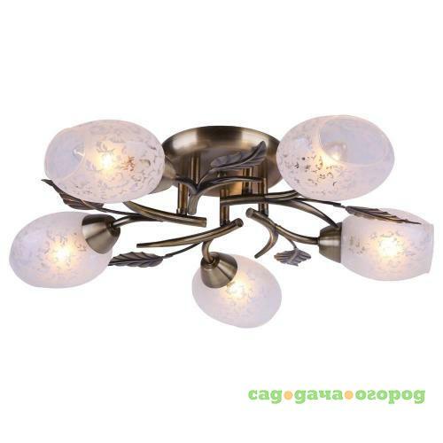 Фото Потолочная люстра Arte Lamp Anetta A6157PL-5AB