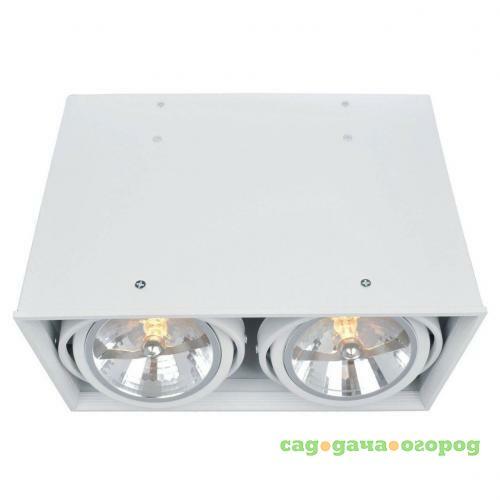 Фото Потолочный светильник Arte Lamp Cardani A5936PL-2WH