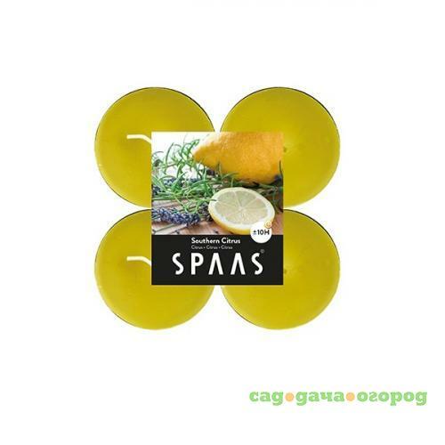 Фото Чайная свеча ароматическая SPAAS, Maxi, Южный цитрус, 5,8*2,4 см