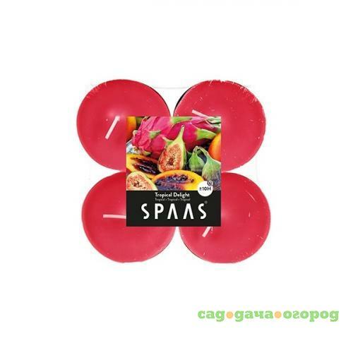 Фото Чайная свеча ароматическая SPAAS, Maxi, Тропический восторг, 5,8*2,4 см