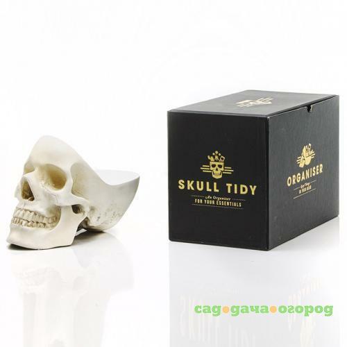 Фото Органайзер для мелочей suck UK, Skull Tidy, белый