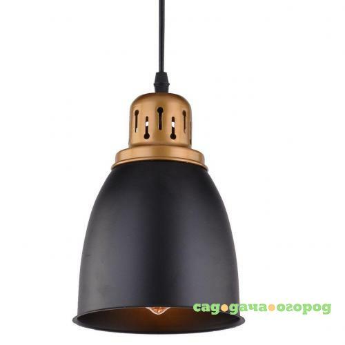 Фото Подвесной светильник Arte Lamp Eurica A4248SP-1BK