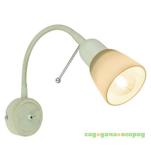 Фото Спот Arte Lamp Lettura A7009AP-1WG