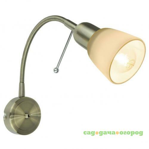 Фото Спот Arte Lamp Lettura A7009AP-1AB