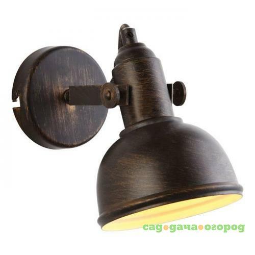 Фото Спот Arte Lamp Martin A5213AP-1BR