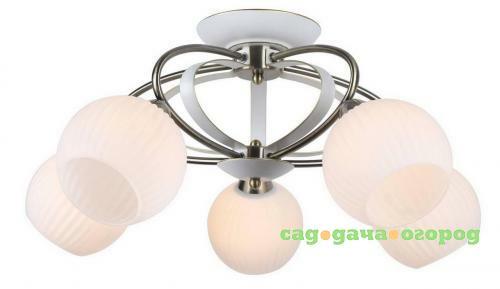 Фото Потолочная люстра Arte Lamp Ellisse A6342PL-5WG