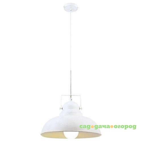 Фото Подвесной светильник Arte Lamp Martin A5213SP-1WG