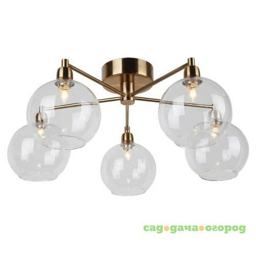 Фото Потолочная люстра Arte Lamp 56 A8564PL-5RB