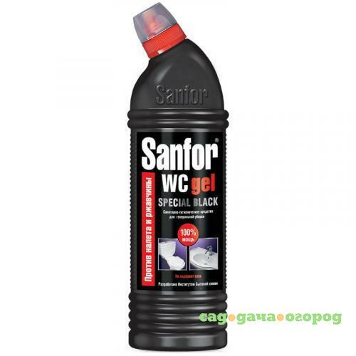 Фото Чистящее средство Sanfor, Special Black, 0,75 л