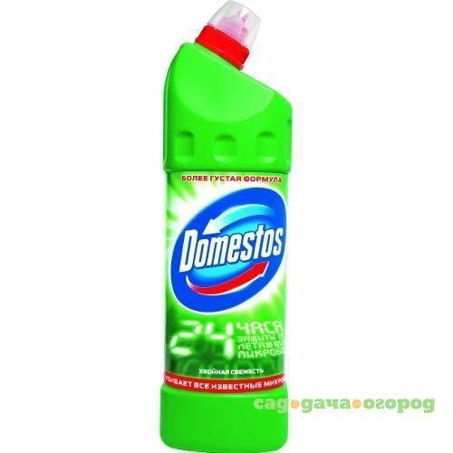 Фото Чистящее средство Domestos, Хвойная свежесть, 0,5 л