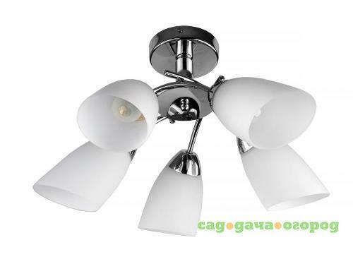 Фото Потолочная люстра Toplight Carmel TL3600X-05CH