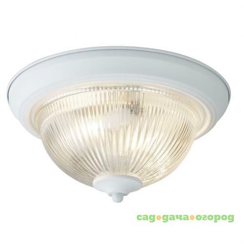 Фото Потолочный светильник Arte Lamp Aqua A9370PL-2WH