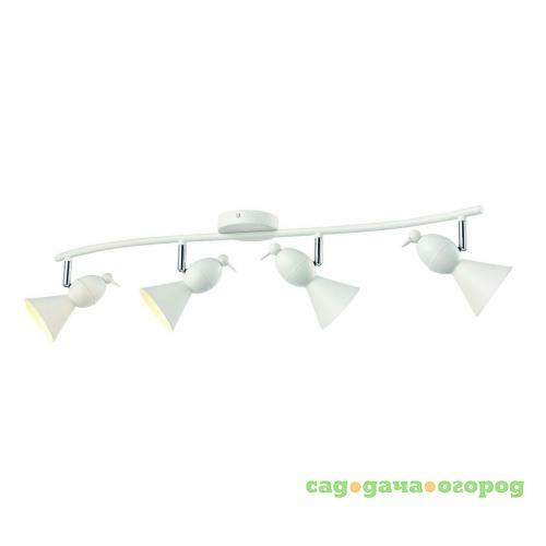 Фото Спот Arte Lamp Picchio A9229PL-4WH