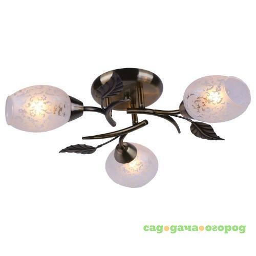 Фото Потолочная люстра Arte Lamp Anetta A6157PL-3AB