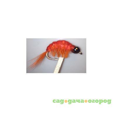 Фото Gammarus Amphipod Orange Nickel  №10