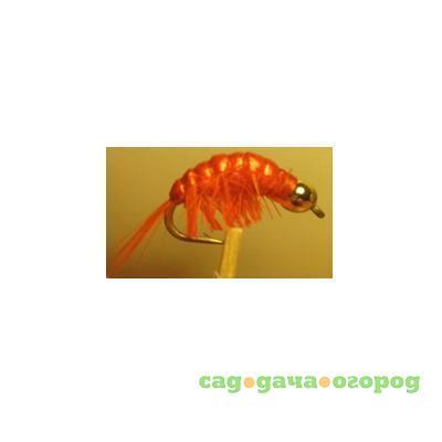 Фото Gammarus Amphipod Orange Gold  №10