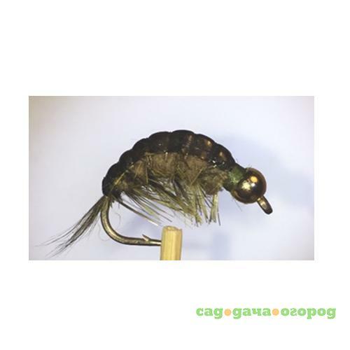 Фото Gammarus Amphipod Dark Olive Gold  №10