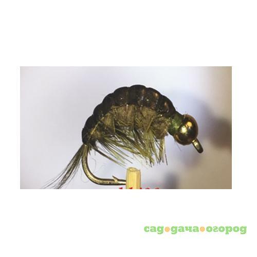 Фото Gammarus Amphipod Dark Olive Copper  №8