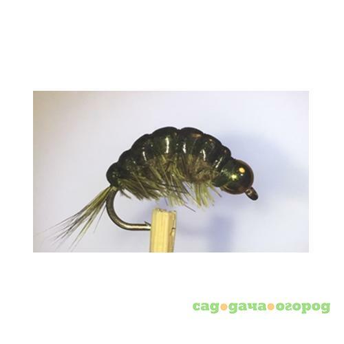 Фото Gammarus Amphipod Dark Olive Nickel  №14