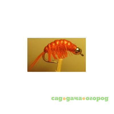 Фото Gammarus Amphipod Orange Gold  №14