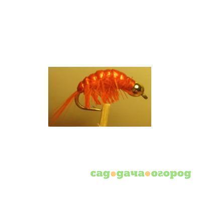 Фото Gammarus Amphipod Orange Gold  №12