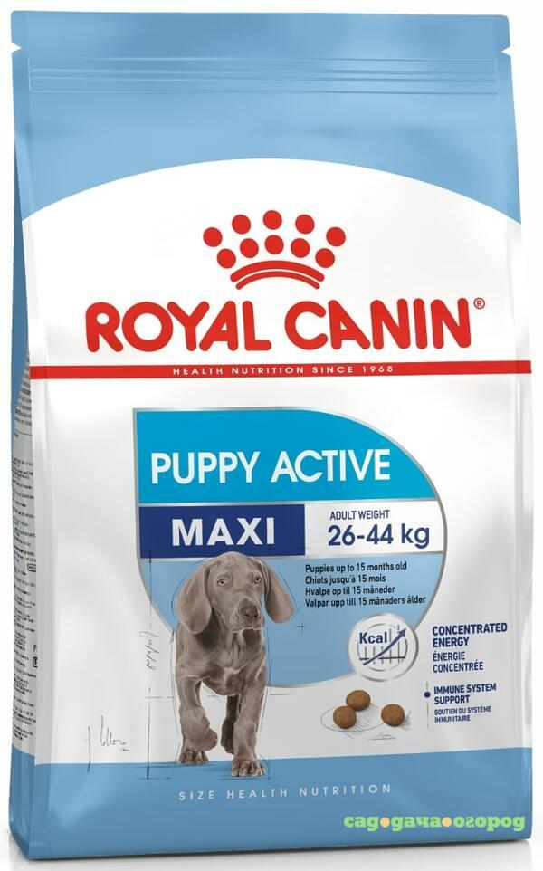 Фото Royal Canin Maxi Puppy Active