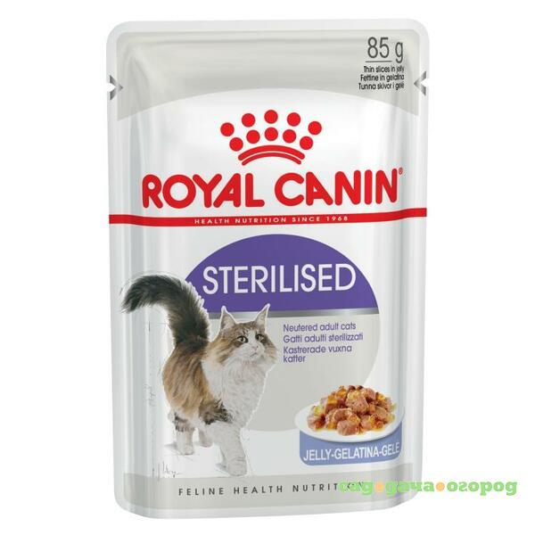 Фото Royal Canin Sterilised Jelly