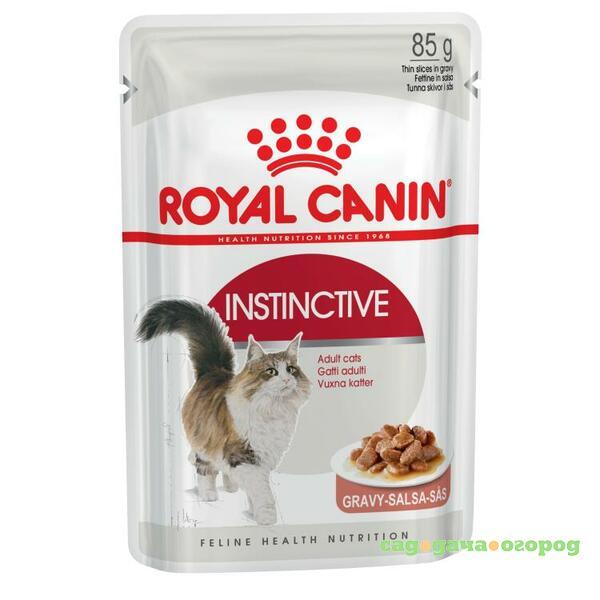 Фото Royal Canin Instinctive Gravy