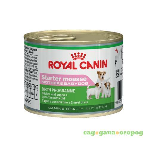 Фото Royal Canin Starter Mousse