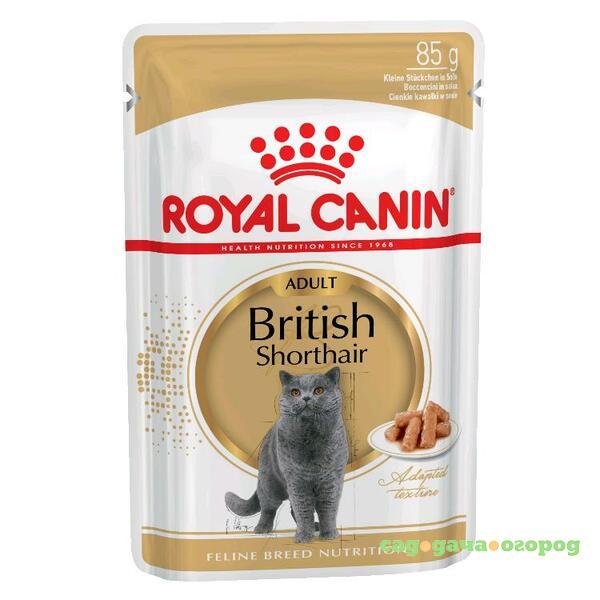 Фото Royal Canin British Shorthair Gravy