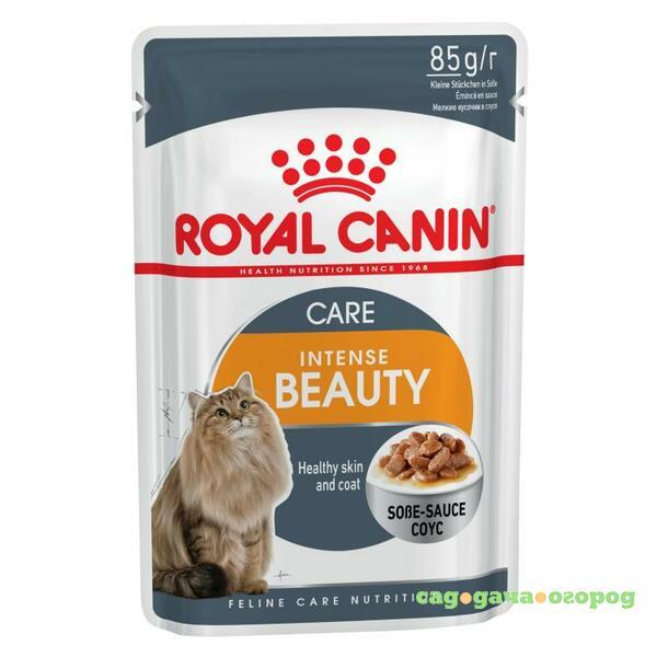 Фото Royal Canin Intense Beauty Gravy