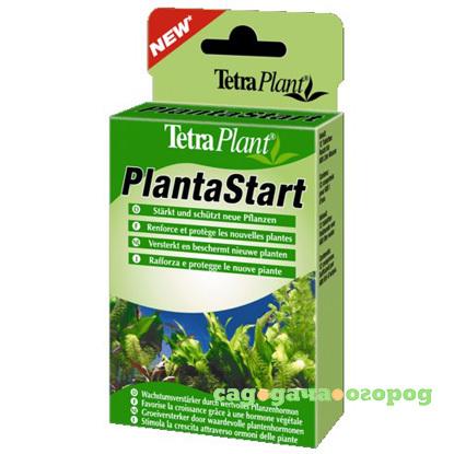 Фото Plant Plantastart